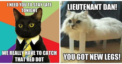 Cat Memes New Xd 2 Tynker - tofu memes 2 roblox