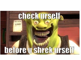 Urself shrek check urself u before Shrek simulator