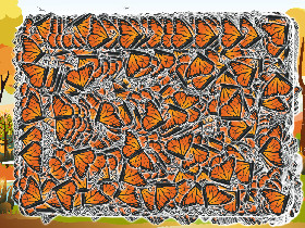 Mega Butterfly Madness