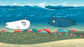 Narwhale Family